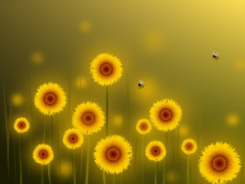 Yellow Flowers in Field — Serene, Afternoon