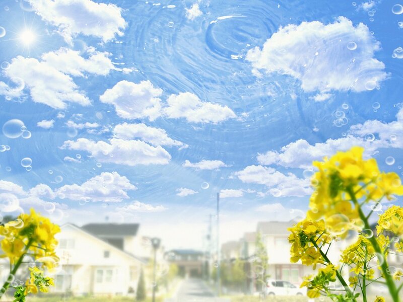 Yellow Flowers in Foreground