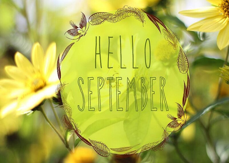 Yellow Flowers in Garden — Cheerful