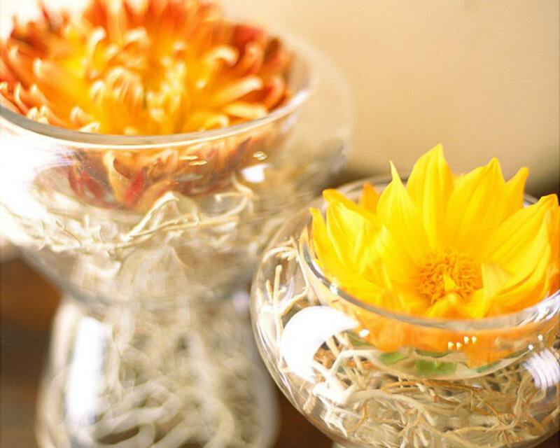 Yellow Flowers in Glass Bowls