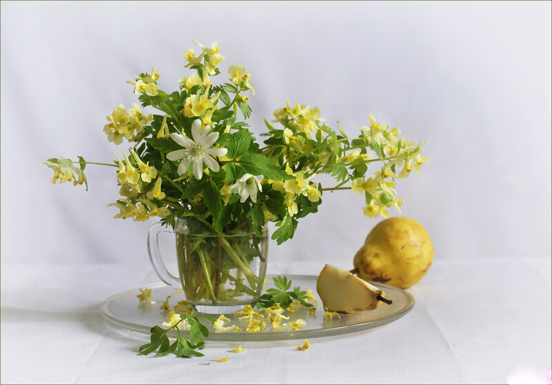 Yellow Flowers in Glass Cup