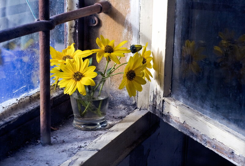 Yellow Flowers in Glass — Dramatic