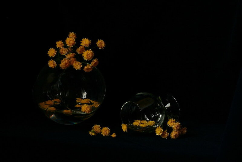 Yellow Flowers in Glass Vases — Dramatic