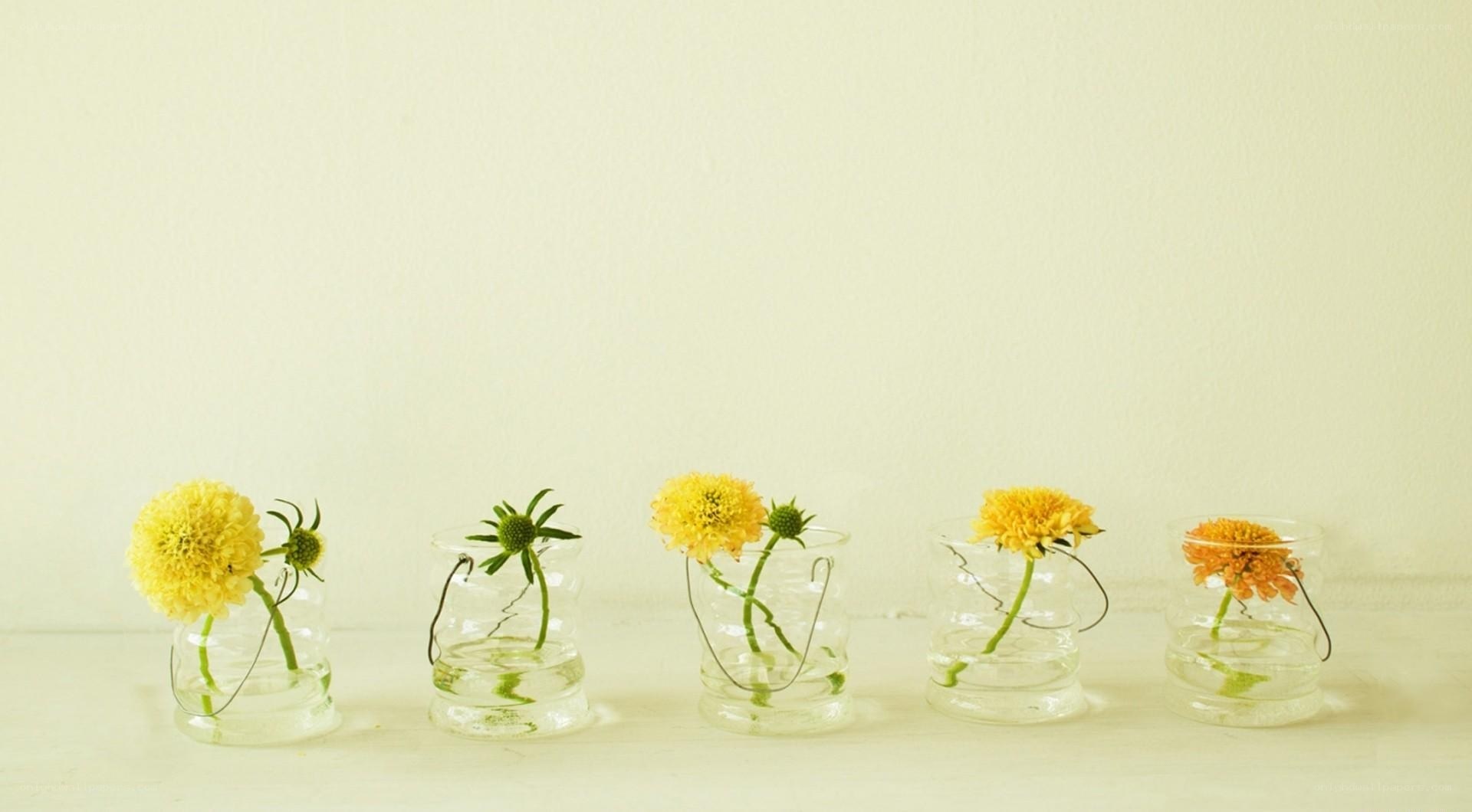 Yellow flowers in glass vases