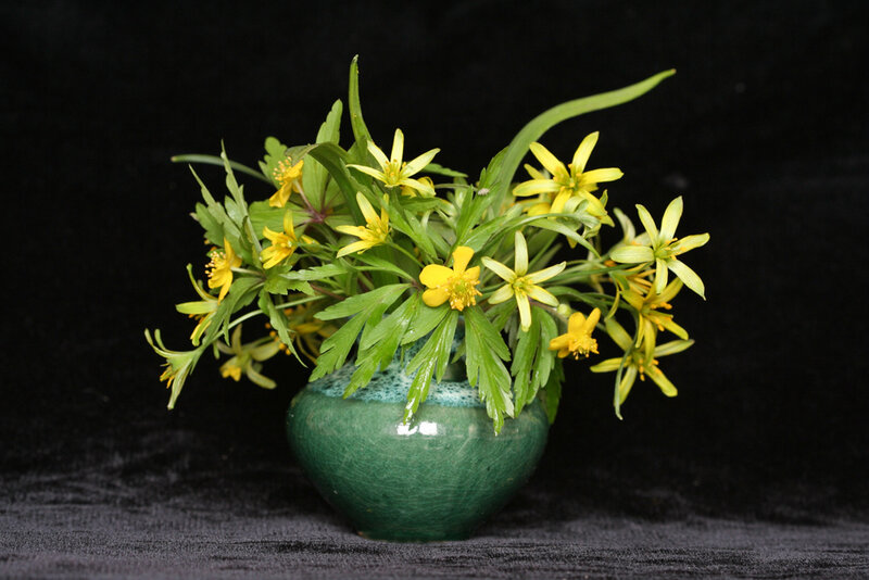 Yellow Flowers in Green Vase