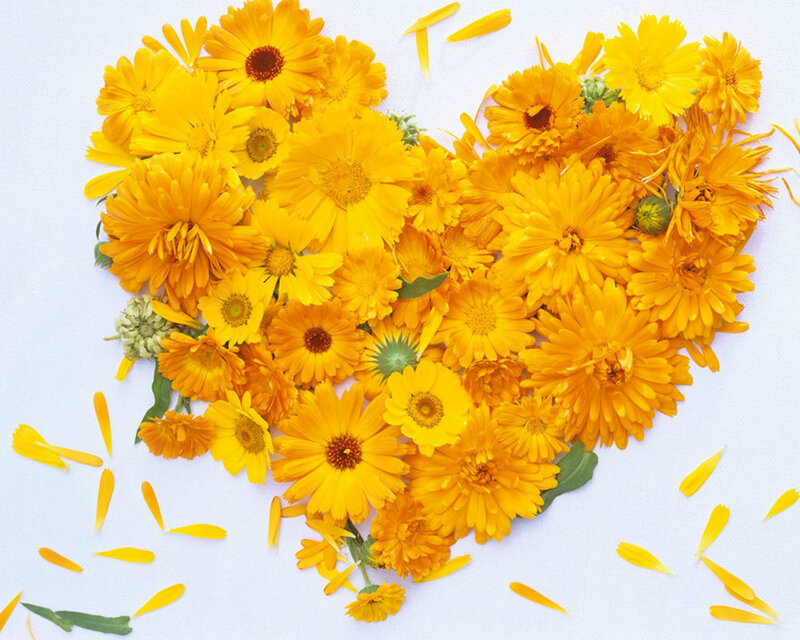 Yellow Flowers in Heart Shape — Calm