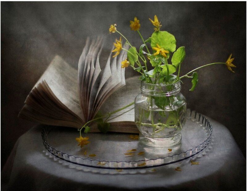 Yellow Flowers in Jar — Gray