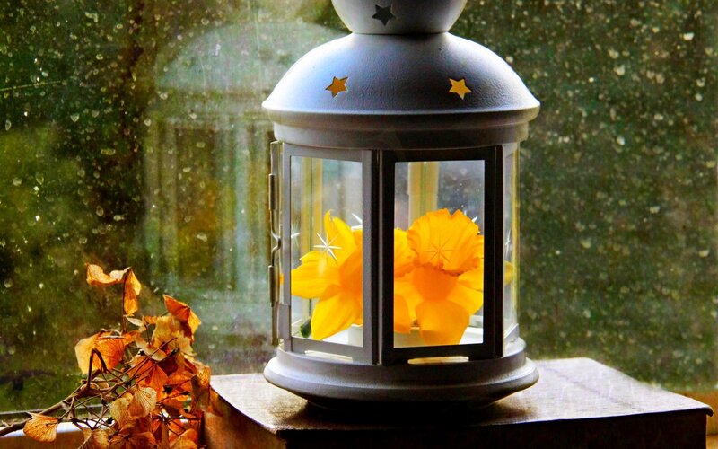 Yellow Flowers in Lantern