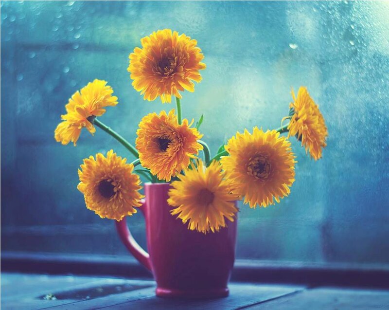 Yellow Flowers in Mug