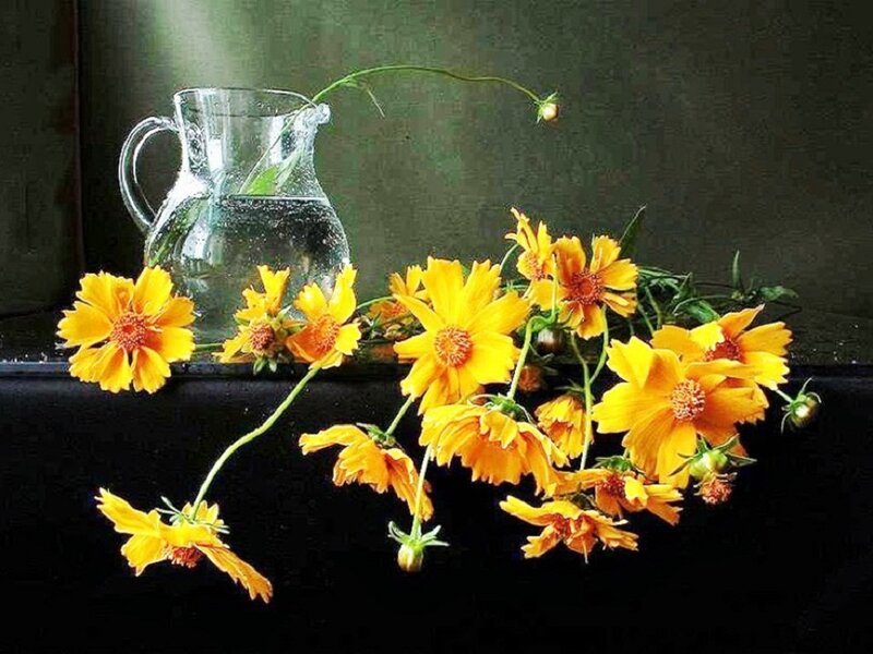 Yellow Flowers in Pitcher — Calm