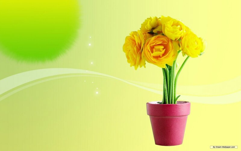 Yellow Flowers in Pot