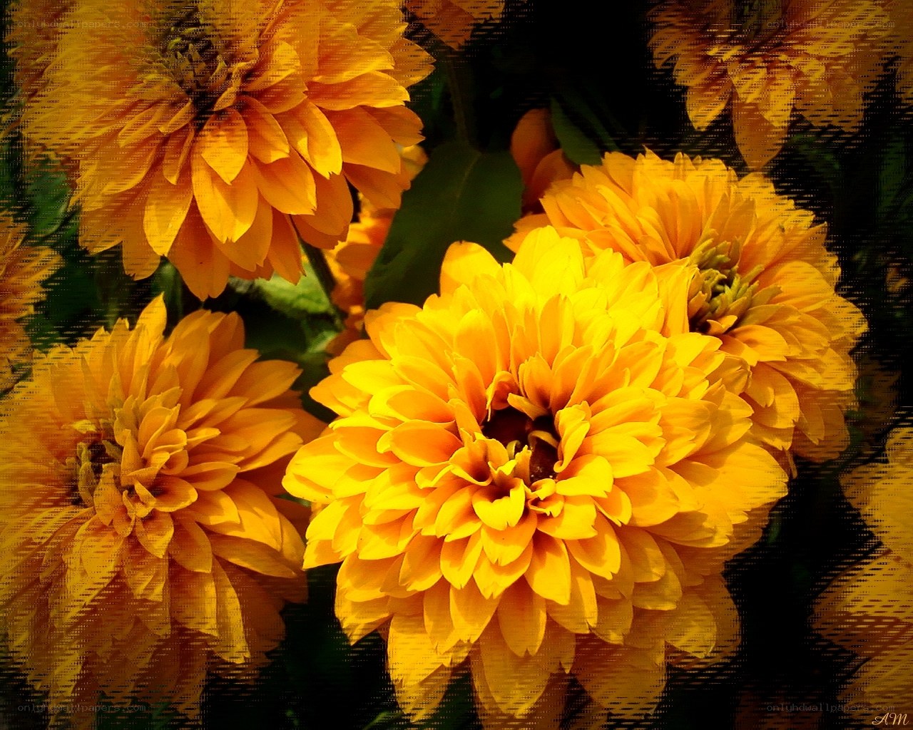 Yellow flowers in sunlight