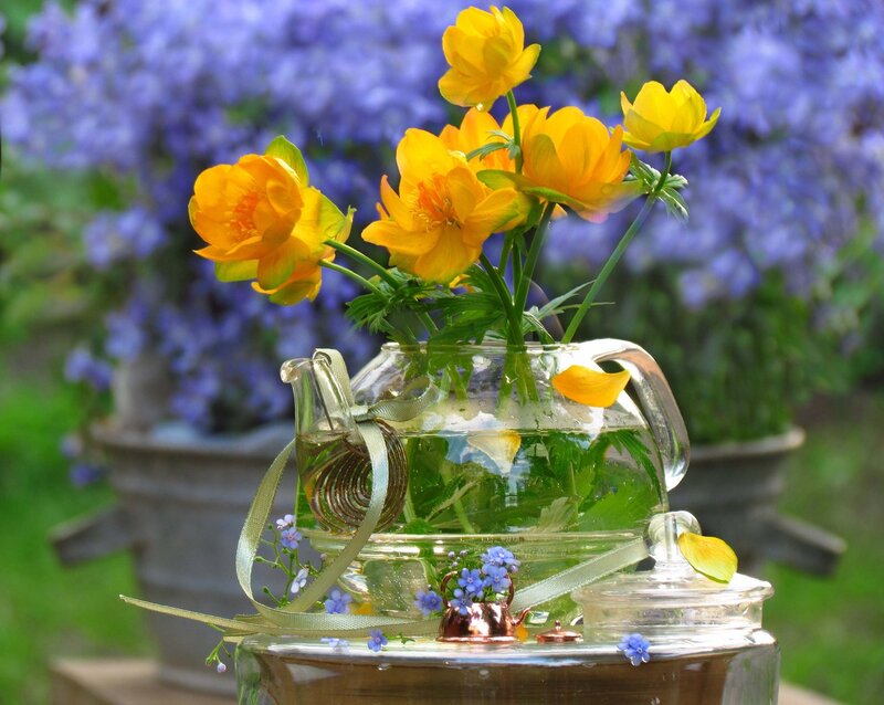 Yellow Flowers in Teapot
