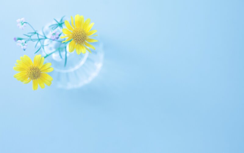 Yellow Flowers in Vase — Blue