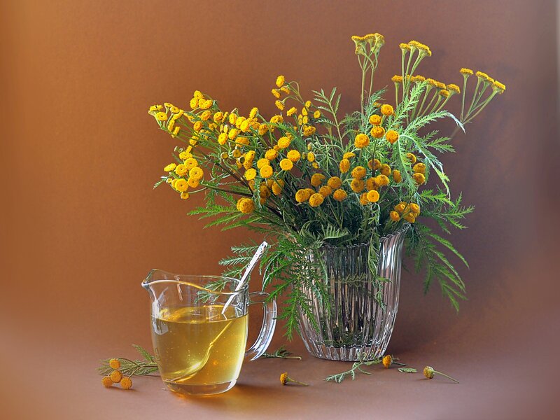 Yellow Flowers in Vase — Brown