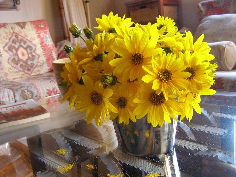 Yellow Flowers in Vase — Calm, Afternoon