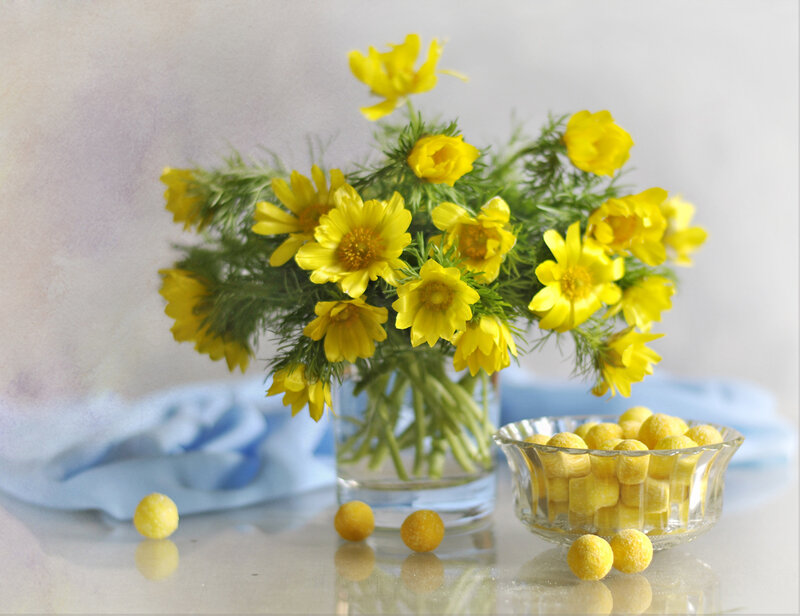 Yellow Flowers in Vase — Calm, Photograph, Candies