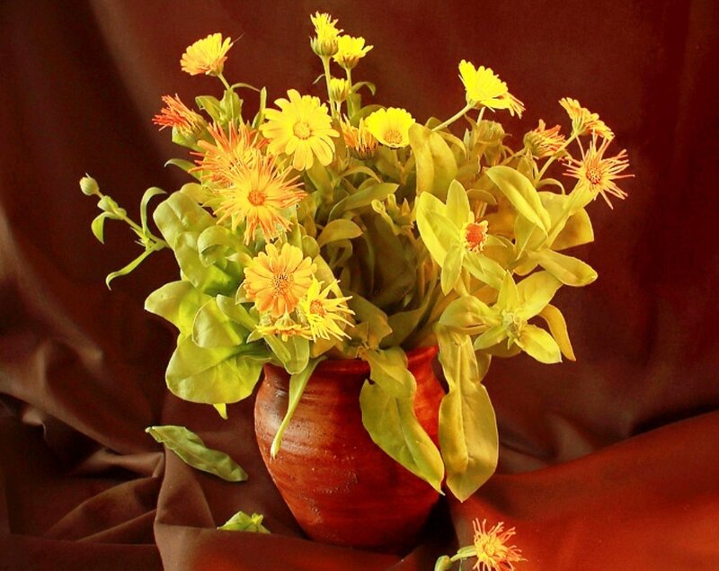 Yellow Flowers in Vase — Calm, Photograph, Leaves