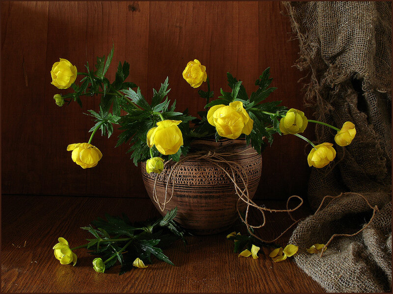 Yellow Flowers in Vase — Calm