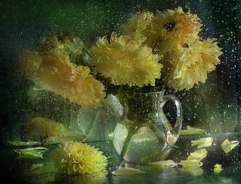 Yellow Flowers in Vase — Dramatic, Photograph, Water Droplets