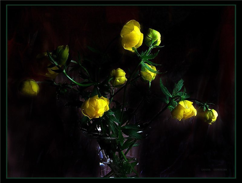 Yellow Flowers in Vase — Dramatic