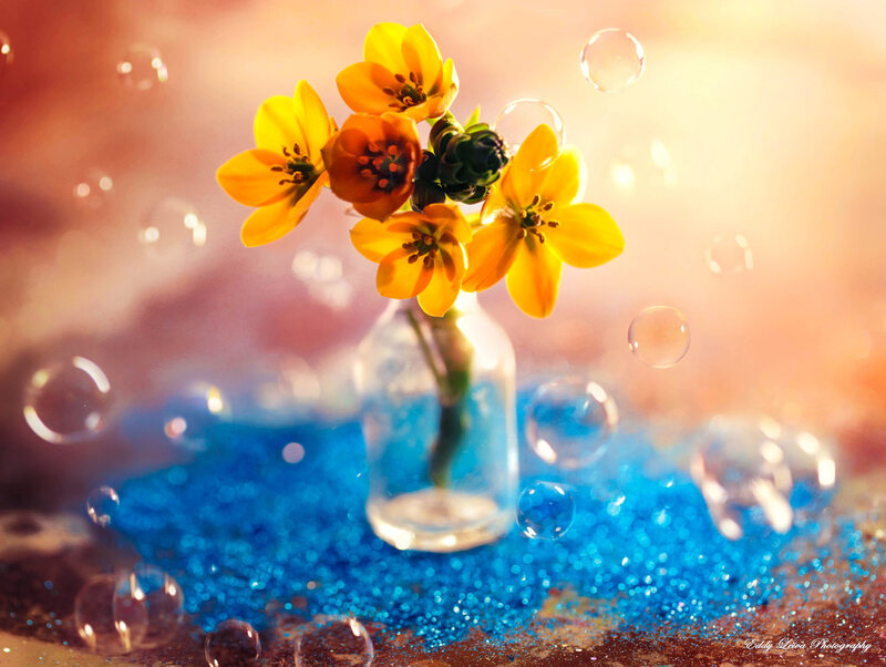 Yellow Flowers in Vase — Dreamy