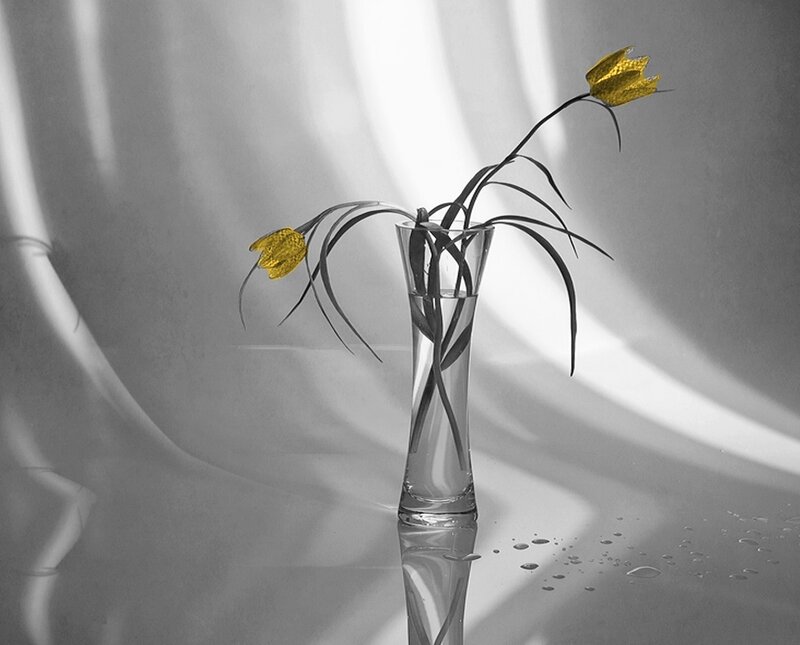 Yellow Flowers in Vase — Gray