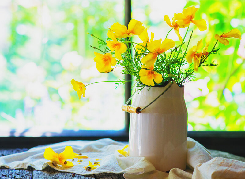 Yellow Flowers in Vase — Serene, Afternoon, Photograph
