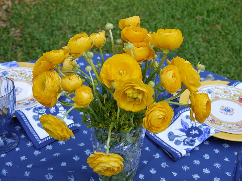 Yellow Flowers in Vase — Serene, Afternoon