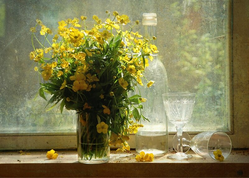 Yellow Flowers in Vase — Serene, Morning, Photograph