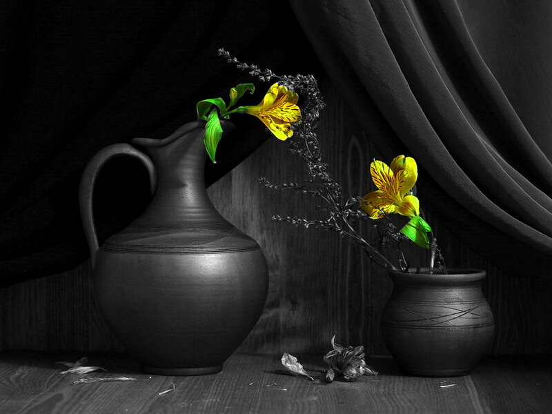 Yellow Flowers in Vases — Black, Dramatic