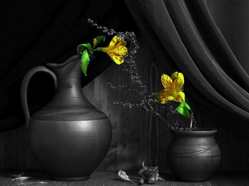 Yellow Flowers in Vases — Black