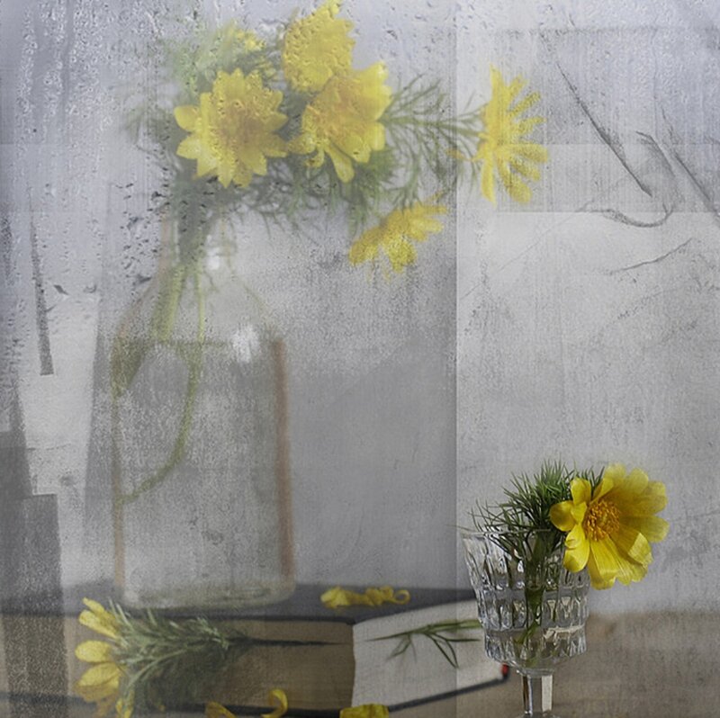 Yellow Flowers in Vases — Calm, Photograph