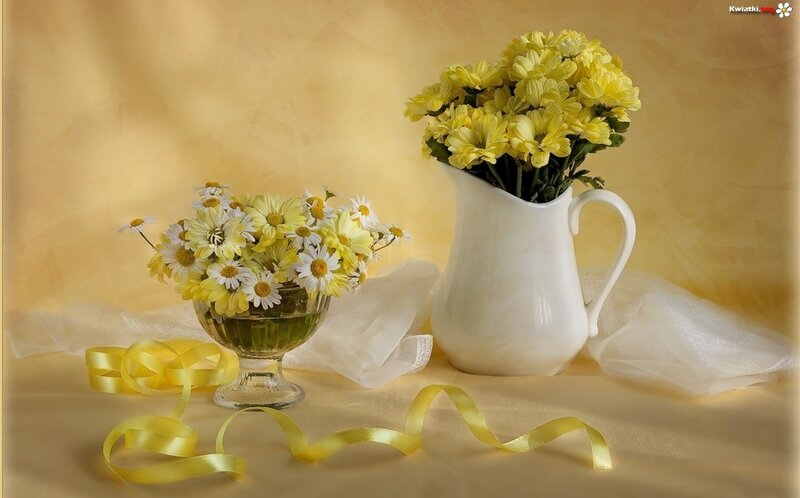 Yellow Flowers in Vases — Serene, Photograph