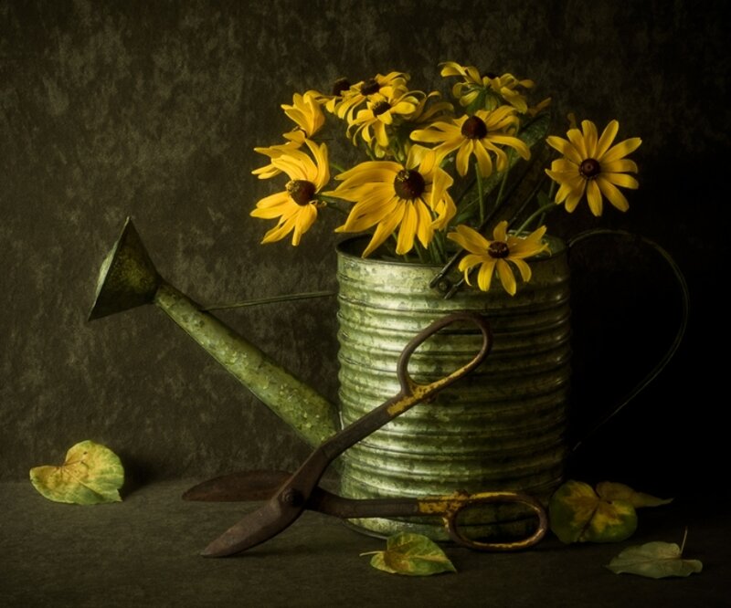 Yellow Flowers in Watering Can