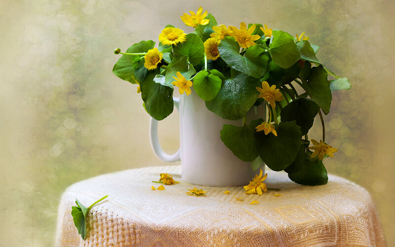 Yellow Flowers in White Mug