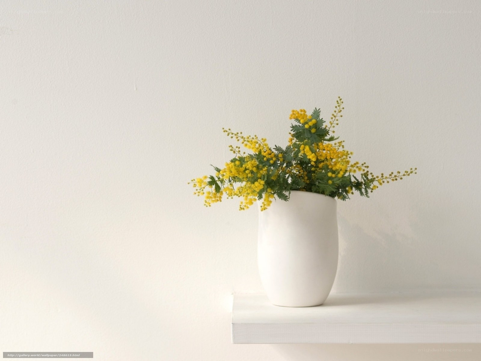 yellow flowers in white vase