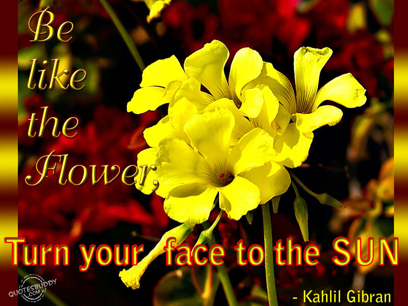 Yellow Flowers — Inspirational