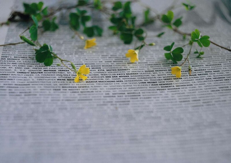 Yellow flowers on a document