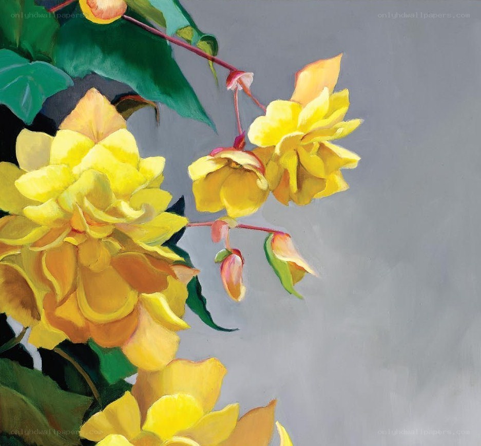 yellow flowers on a gray background