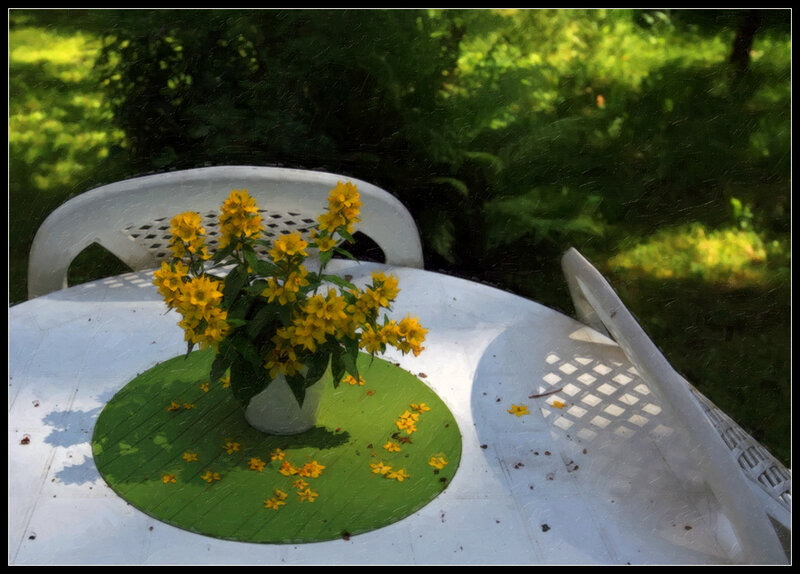 Yellow flowers on a table