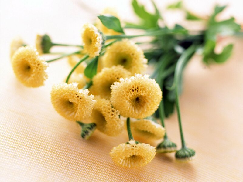 Yellow flowers on a table
