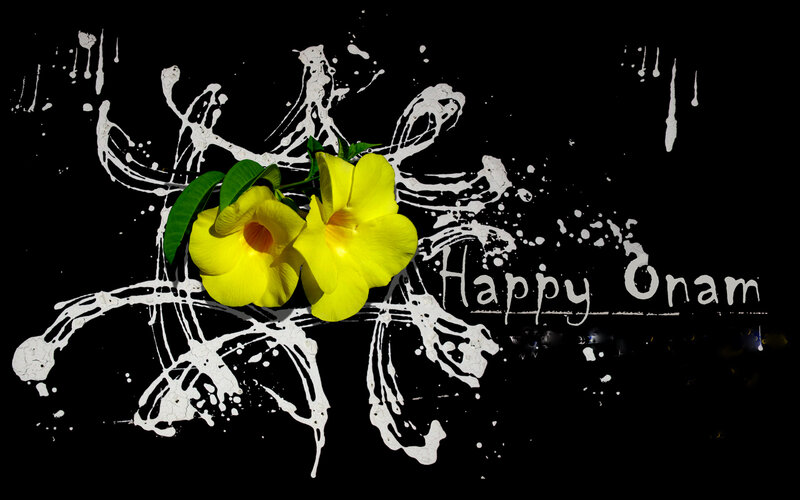 Yellow Flowers on Black