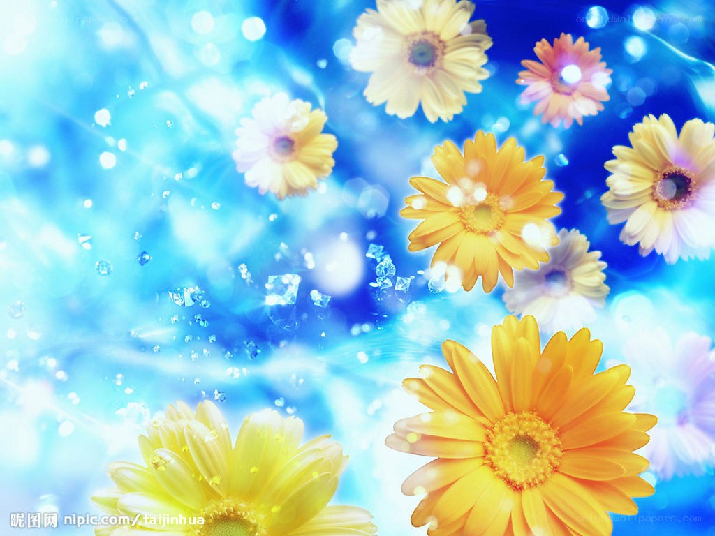 Yellow flowers on blue background