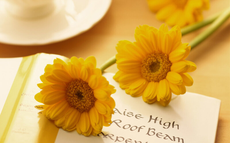 Yellow Flowers on Book