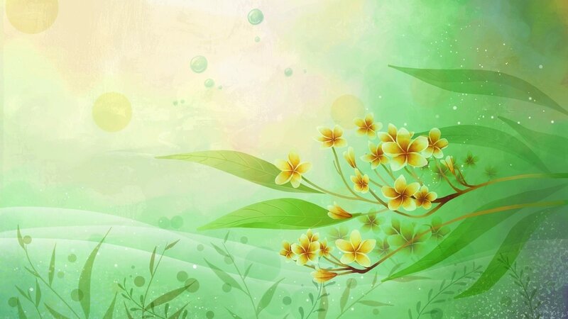 Yellow Flowers on Branch — Green