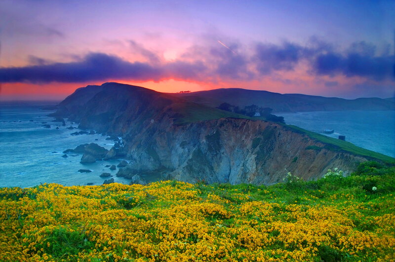 Yellow Flowers on Cliff — Dramatic