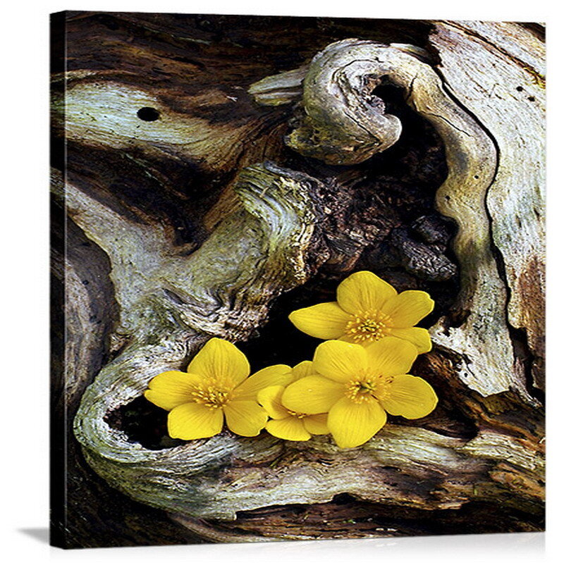 Yellow flowers on driftwood