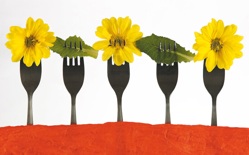 Yellow Flowers on Forks