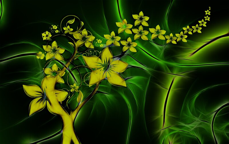 Yellow Flowers on Green Background — Dramatic